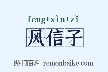 风信子是什么意思的图片